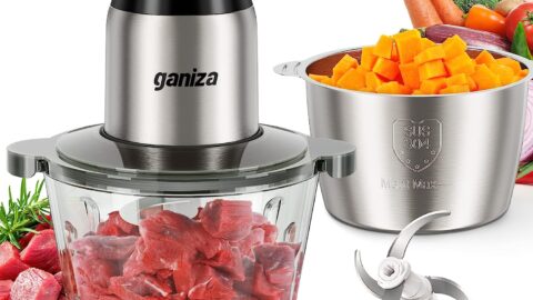 GANIZA Food Processor